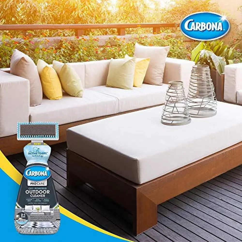 Carbona Pro Care Non-Scented Oxy Powered Outdoor Cleaner Foam, 22