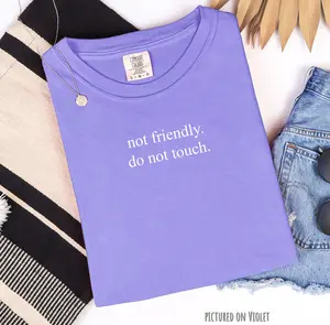 Minimalist Not Friendly Do Not Touch T-Shirt, Comfort Colors Shirt, Funny Oversized Unisex Fit Shirts, Vintage Streetwear, Cute Tshirts