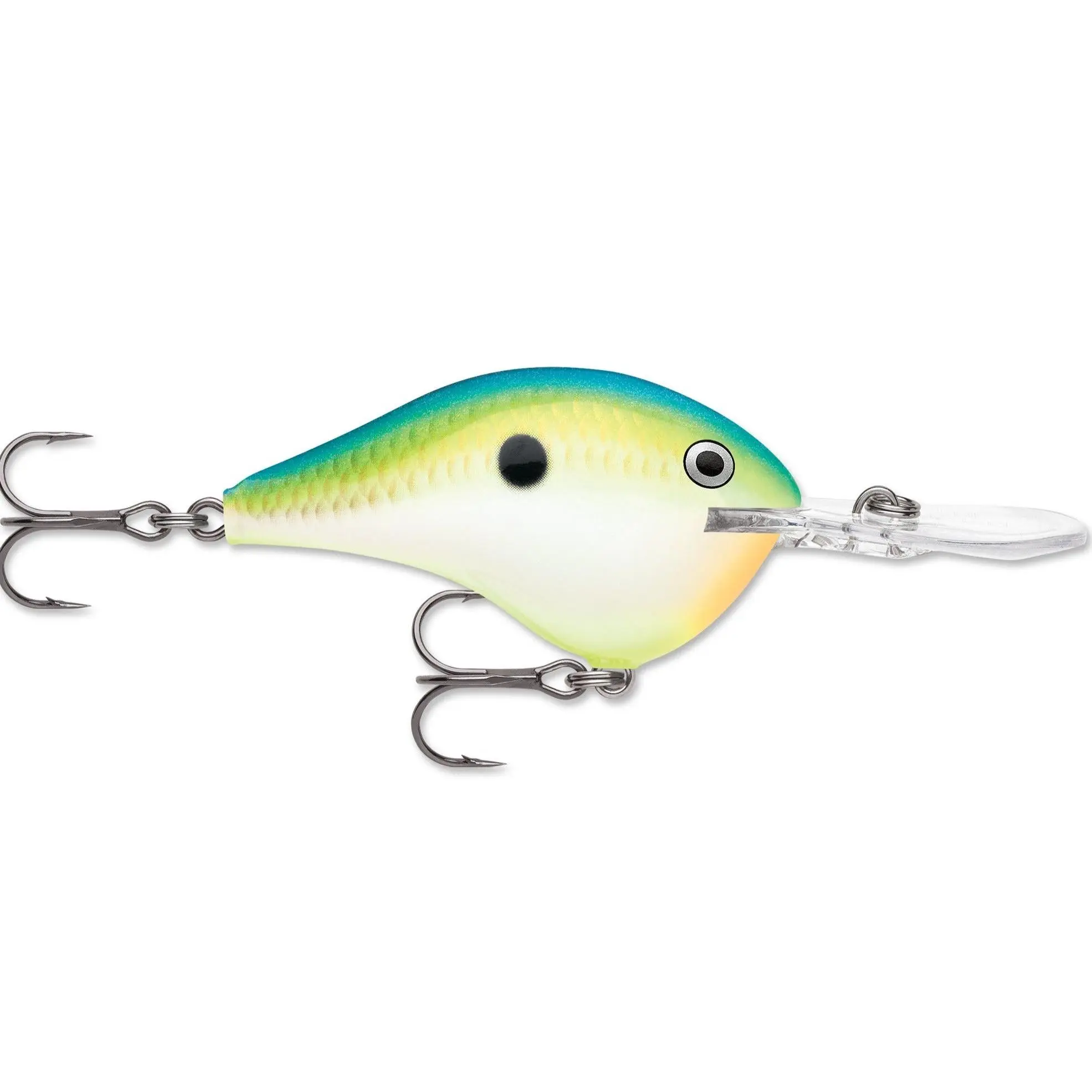 Citrus Shad