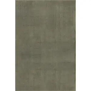 Argelia Solid Machine Washable Area Rug