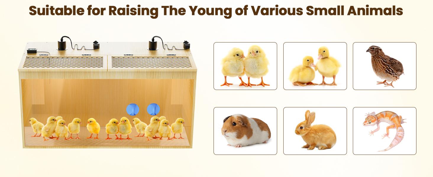 32 Inch Large Wooden Chicken Brooder Box, 75W Heat Lamps, Thermometer, Chicken Feeder & Waterer Set, Tin Foil, Ideal for 12-15 Newborn Chicks Ducks Quails, Brooder Box for Chicks