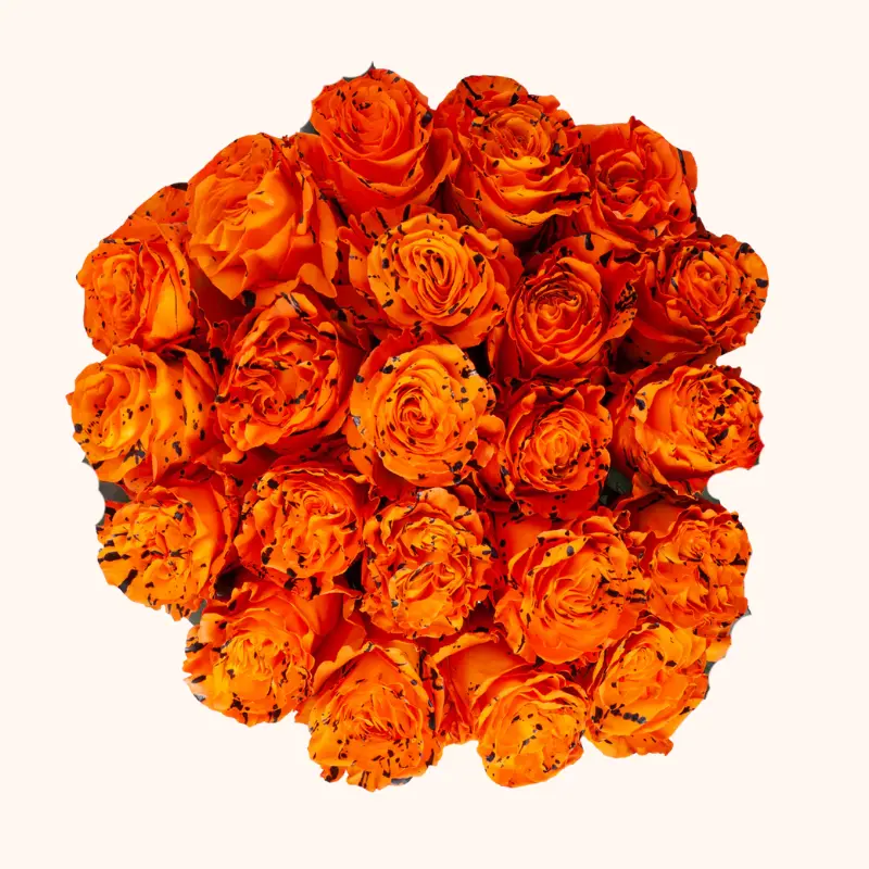 Halloween Trick or Treat Orange Tinted Roses