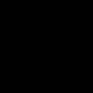 review image 9