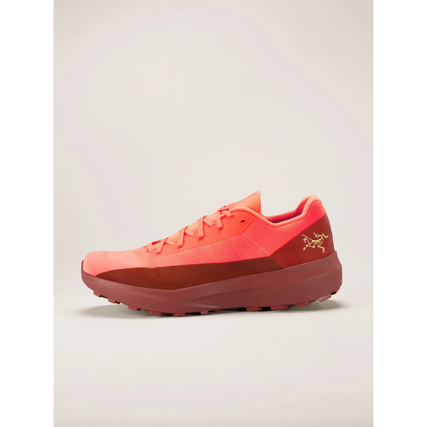 Arc'teryx Men's Norvan LD 4