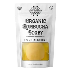 1 X Organic Kombucha Scoby - Live Culture by Scoby Kombucha