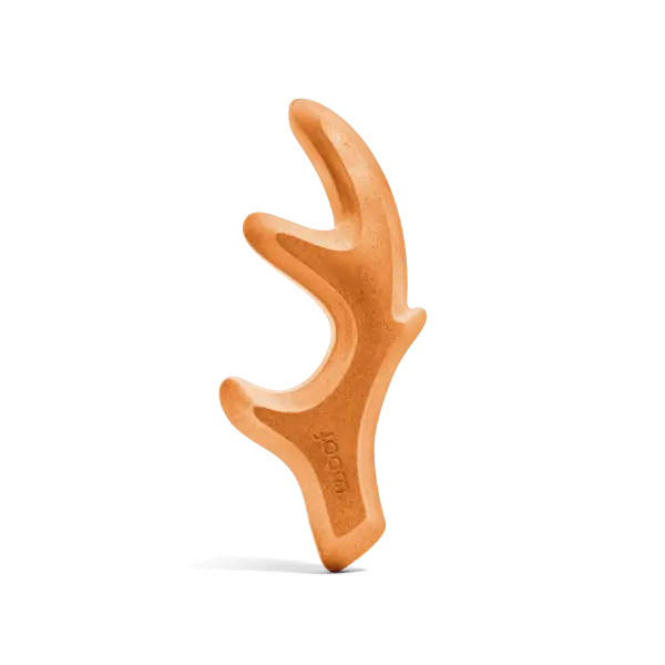 Pumpkin Spice HonestChew Dog Treats, Limited Edition Fall Antler Chew with Plant Cellulose, Safer than Bones, Plant-Based, Cleans Dogs Teeth and Great for Distraction