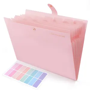 SKYDUE 8-Pocket Expanding File Folder, Accordion Document Organizer with Tabs for School Office Hospital