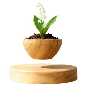 MAGECMOON magnetic levitation flower pot aerial bonsai rotating floating suspended flower pot living room bedroom study desktop decoration green plant potted ornaments gift