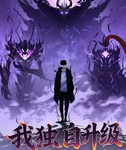 Solo Leveling Acrylic Graded Slab Card Collection