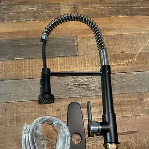 Kitchen faucet