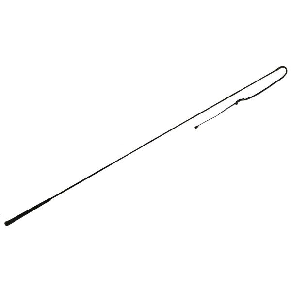 Whip 60" long rod with 10" Lash & 10" Popper Fishing Rod Fishing Poles
