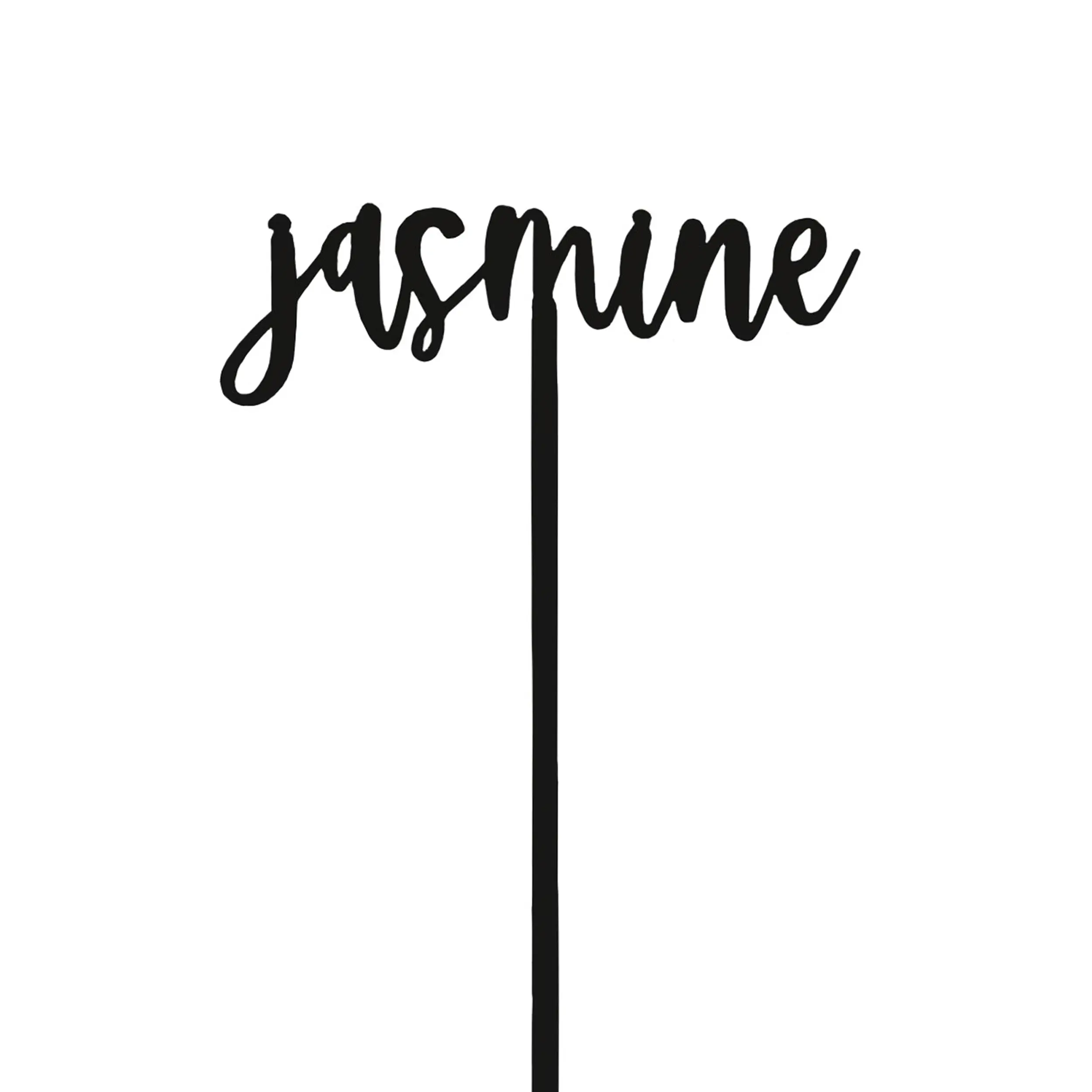 Personalized Name Drink Stirrer