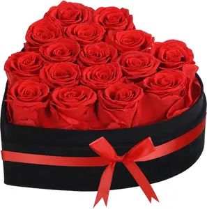 Luxury Forever Real Roses in Suede Box - 16-Piece Preserved Flowers Roses Gifts for Delivery Prime Birthday, Valentines's Day, Mother's Day,Anniversary, Graduation Gifts for Her (Red)