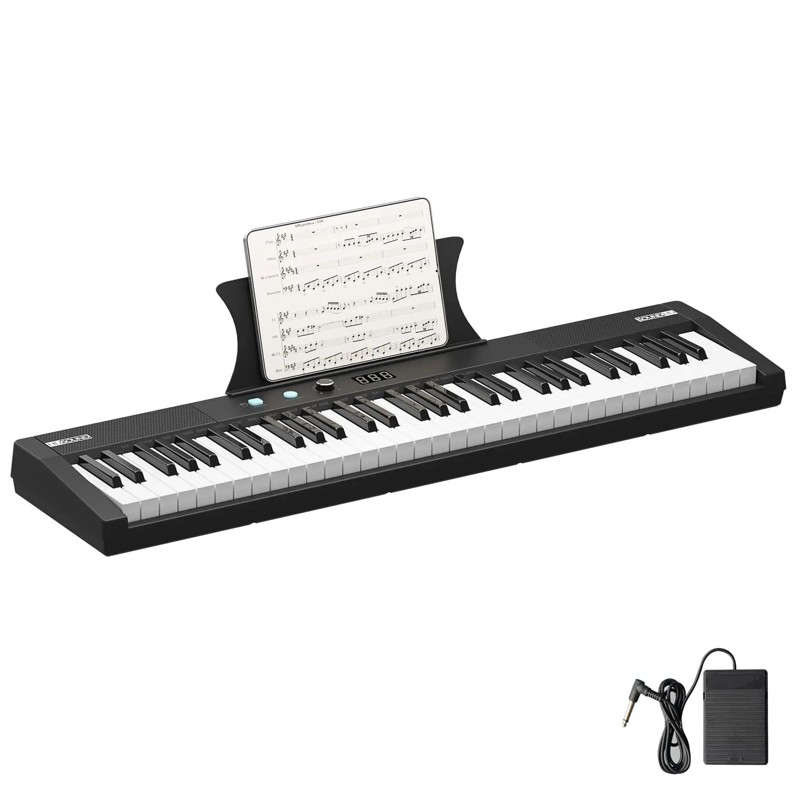 61 Key Portable Electronic Piano Keyboard, Semi-Weighted Full-Size Digital Piano with Built-In Speakers, Includes Power Adapter, Sustain Pedal & Sheet Stand for Beginners to Professionals