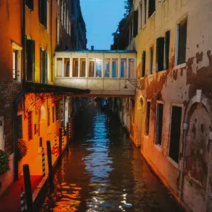 Alllora Studios Original Standard Prints of Venice Italy Vibrant Fall Colors Serene Road Scenery Matte Paper Various Sizes