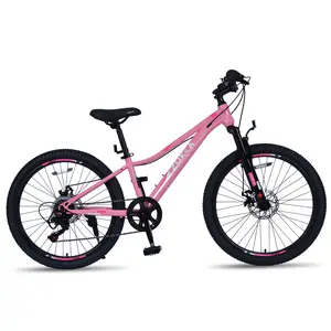 24" Trail-Ready MTB, 6-Speed Shimano, Dual Disc Brakes, Front Shock, 2.125" Grip Tires, Black Leather Saddle, 85% Assembled