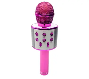 Perfect Pitch Karaoke Wireless Microphone & Recorder