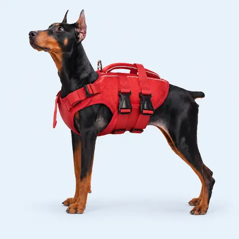 Kuoser Dog Life Jacket - Cotton & Nylon, High Flotation, Double Security, Reflective, Adjustable for Small-Medium-Large Dogs, Protects Hind Leg Hip Joint, Enhances Endurance, Quick-Release Buckles, Lightweight Safety Handle for Swimming, Boating