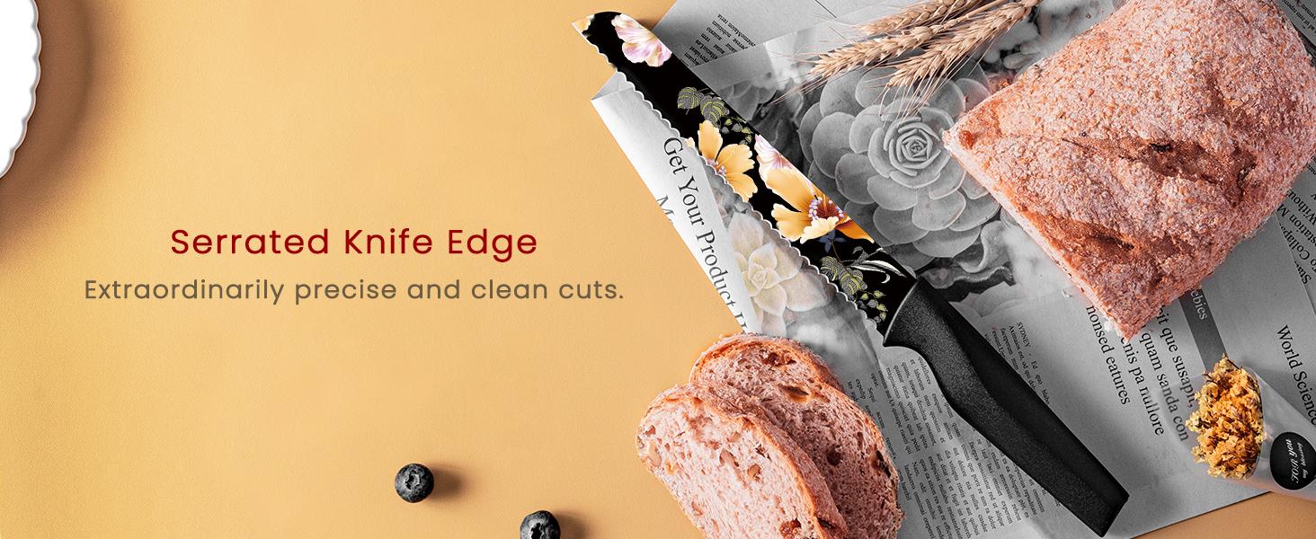 Astercook Knife Set - Colorful 6 Rust Resistant Coated Stainless Steel Kitchen Knives with 6 Edge Guards, Ergonomic Chef's Knife Modern Cutting Block