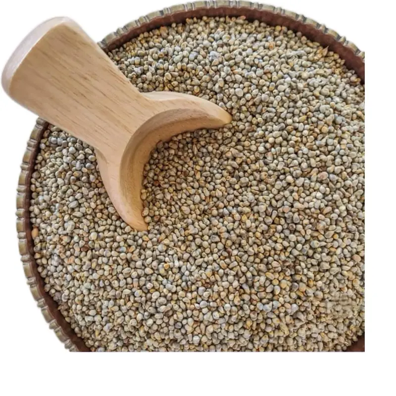High-Quality Millet Seed - Non-GMO, 1.5lb