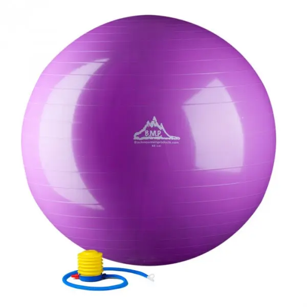 Black Mountain Products 65cm Exercise Ball with Dense Wall, Professional-Grade Anti-Burst Stability Ball for Core Workouts and Balance, 2000 lbs Rated, Purple, Unisex, Strength Training Equipment