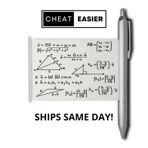 2 Pack CheatEasier Pen