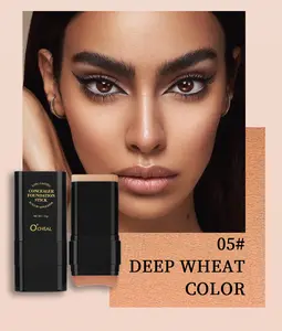 Christmas Gift Two-In-One Makeup Stick Full Coverage Hide Blemish Tattoo Concealer