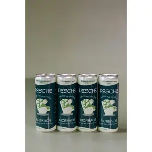 Kickback - Strawberry Mint Mojito