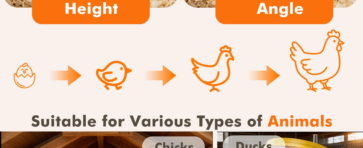 Adjustable Temperature Chick Brooder Heater - 45W Safe Energy Saving, Height Angle Adjustable for Chicks Ducks Quail