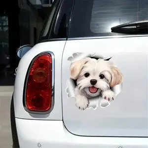 Cute Cat Pattern Car Sticker, Funny Car Decal, Car Exterior Decoration Sticker, Universal Car Accessories for Car Body Window Decor