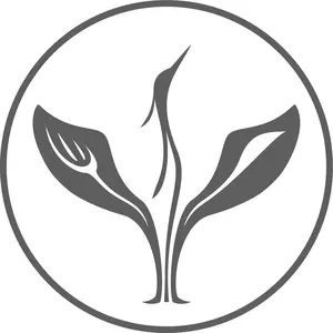 background preload poster image 