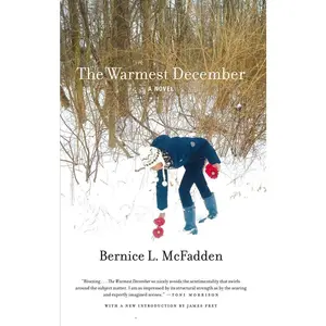 USED-The Warmest December by McFadden, Bernice L. (Paperback)