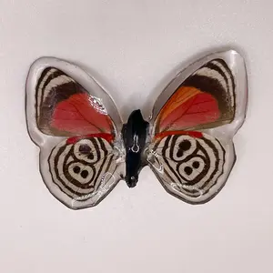 Real Small Handmade Butterfly Brooch Red Black White