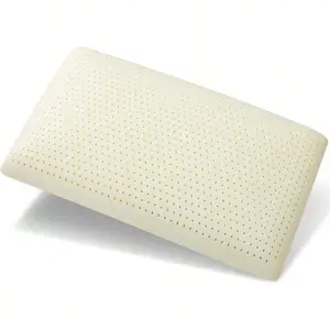 Talalay Latex Pillow Luxury Queen Size for Side Back & Stomach Sleepers Extra Soft Natural Foam with Removable Breathable Cotton Cover Ergonomic Support All Season Comfort Orthopedic Memory Foam Cup Bottle