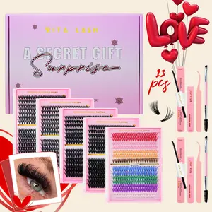 Individual False Eyelashes Kit, 1 Box Mixed Length & Styles Natural Look Eyelash Extensions, Self Grafting Curl Eyelashes, Eye Makeup Enhancement, Diy Volume Eyelashes, Diy Lash Kit