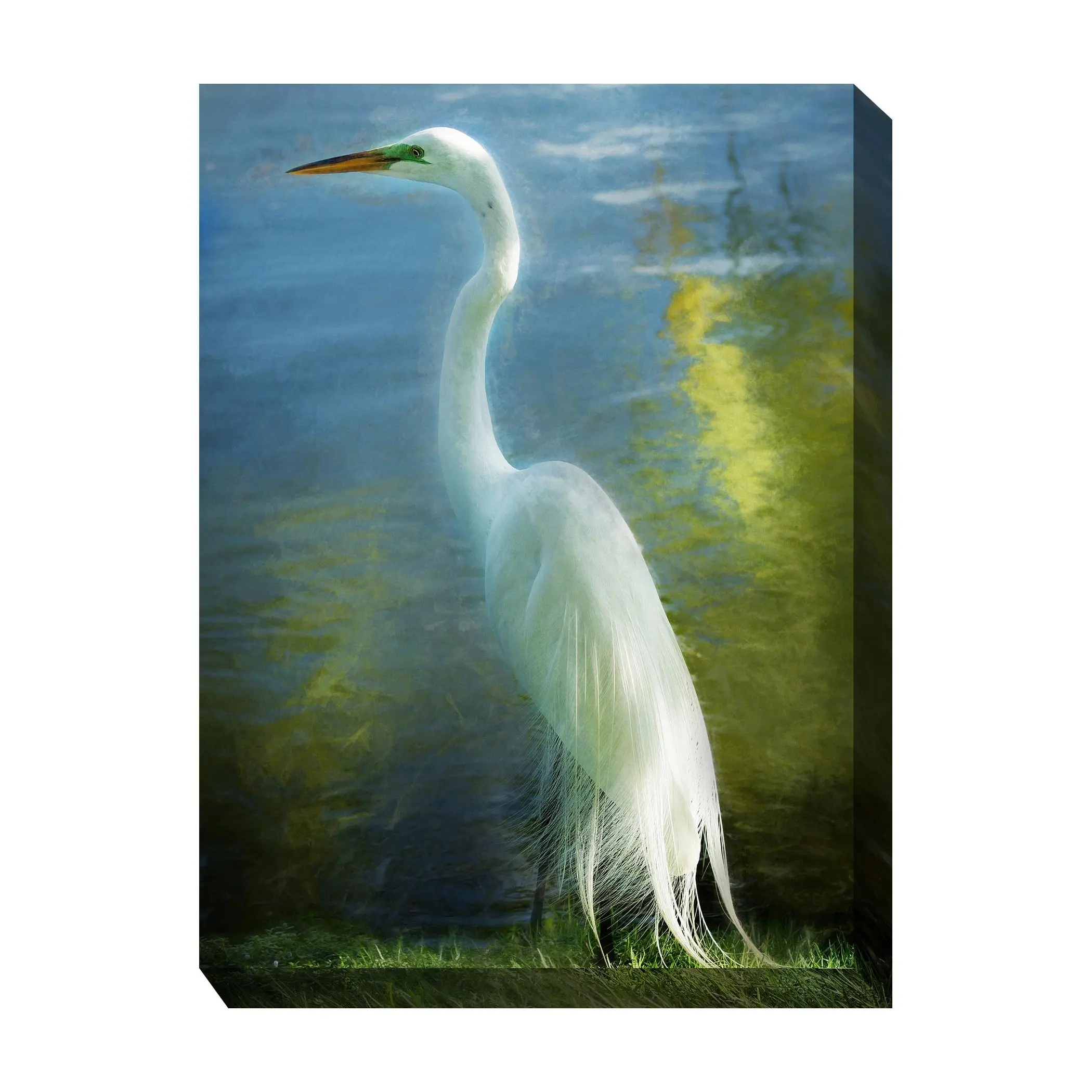West of the Wind Poised Patience Outdoor CanvasArt 30x40