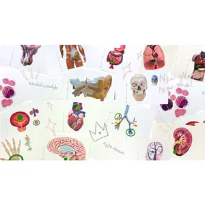 Ultimate Bundle (Anatomy and Physiology 1 & 2)