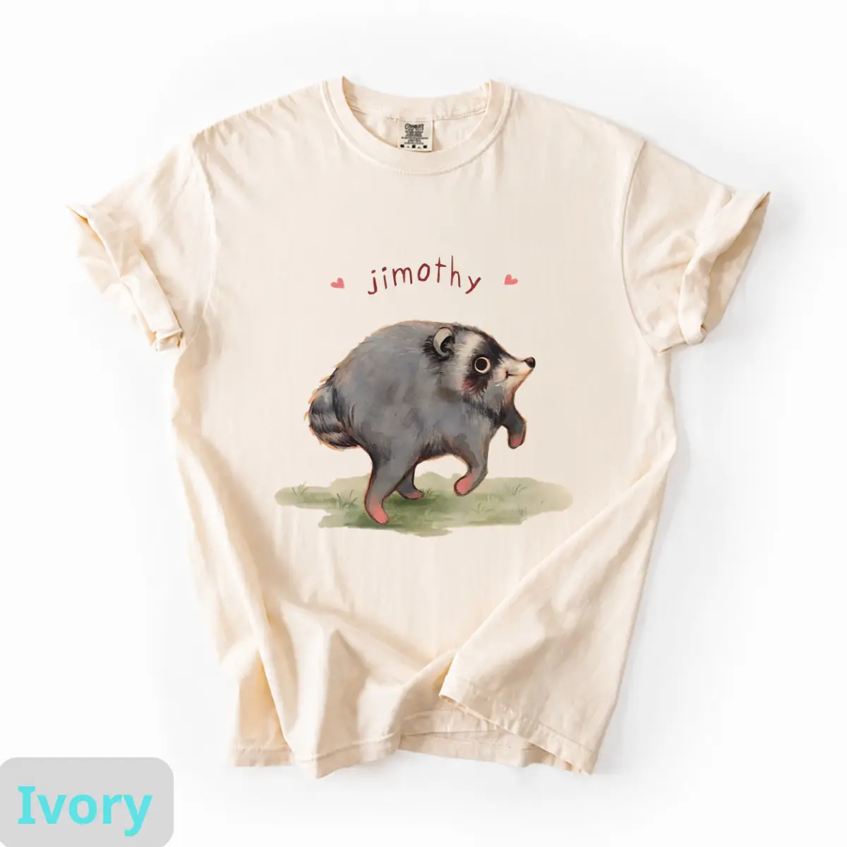 Jimothy Raccoon Shirt, Seattle Short Spine Raccoon T-Shirt, Animal Lover Gift, Viral Jimothy Meme