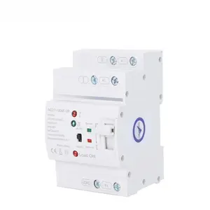 Mini ATS 2P 63A 110V Automatic/Manual Transfer Switch, Seamless Power Transfer (No Power Outage), Dual Power Selector Switch for Home UPS, DIN Rail Mount