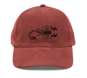 Vintage corduroy cap Hat