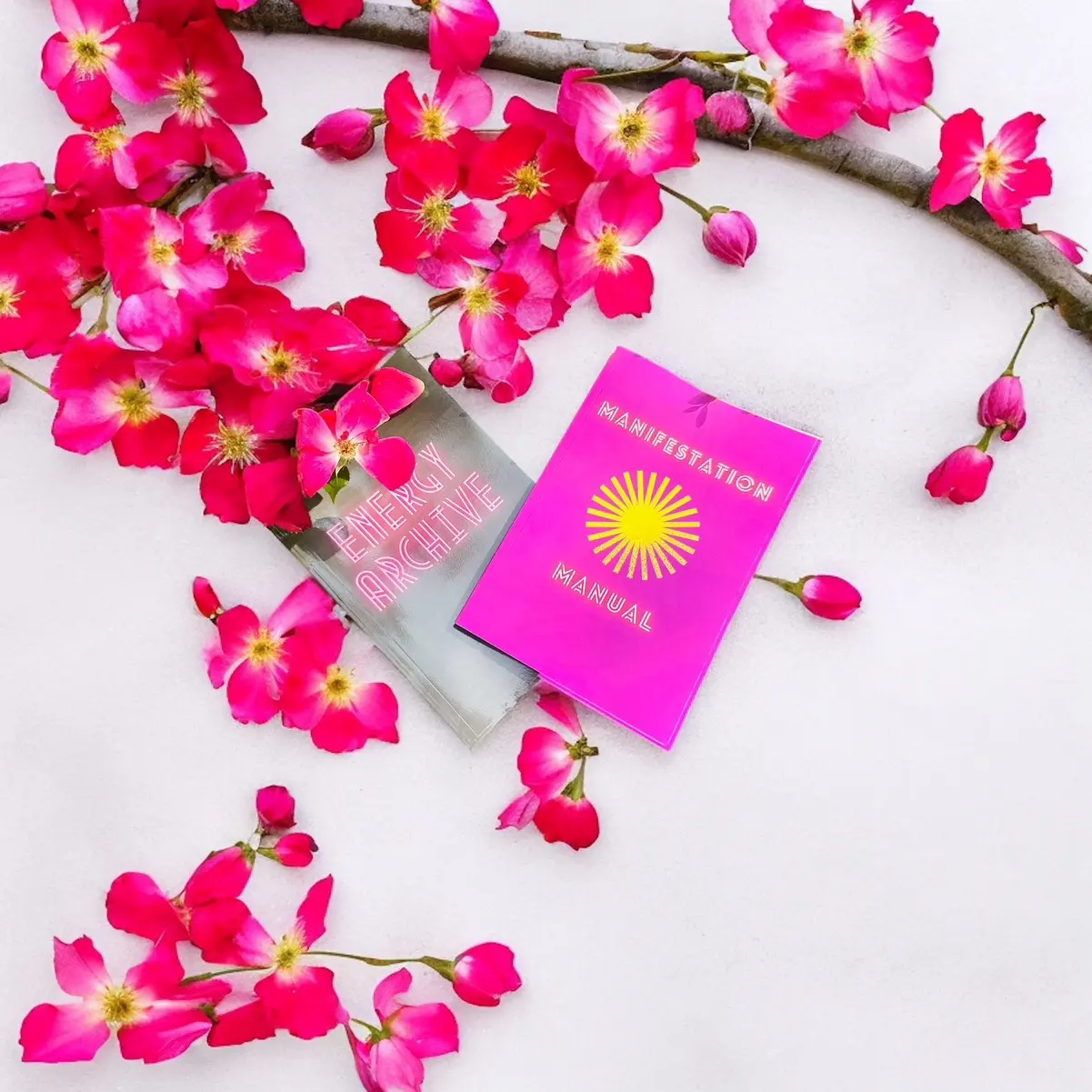 Manifestation Manual