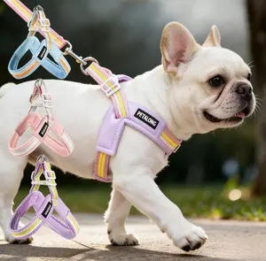 Rainbow Color-Blocking Dog Harness & Leash - Breathable Material, Vest-Style, Easy to Use, Suitable for Dogs & Cats, Comfortable Fit, Vibrant Design