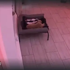 review image 3