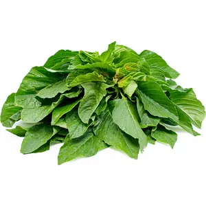 Green Amaranth Seeds (Green Leaf) – Rau Dền Xanh | Heirloom, Non-GMO | Heat-Tolerant Leafy Vegetable