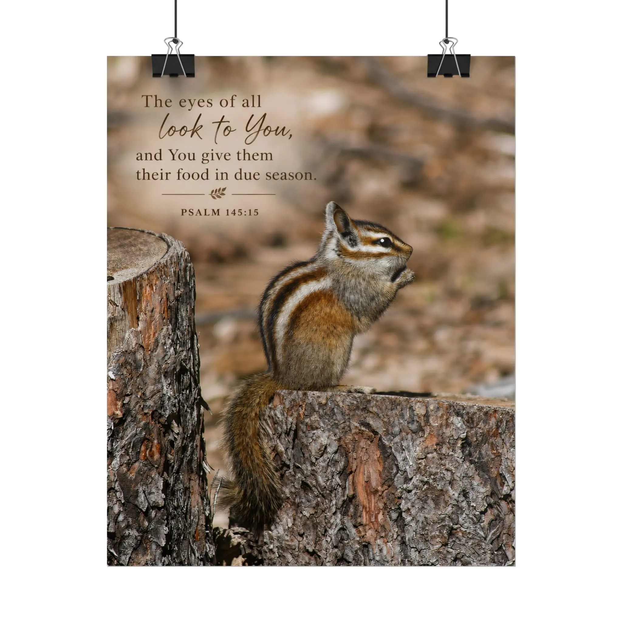 Daily Provisions Poster