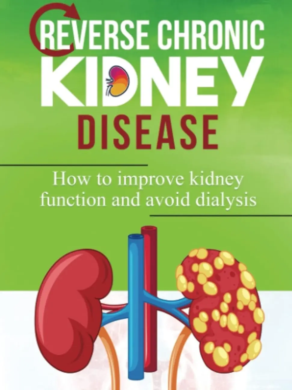 Award-Winning English Medical Guide (Special Edition) by Dr. Yaw Ababio Boateng - For CKD Patients, Improves Kidney Function, Avoids Dialysis, Includes Healthy Remedies for Meat Products