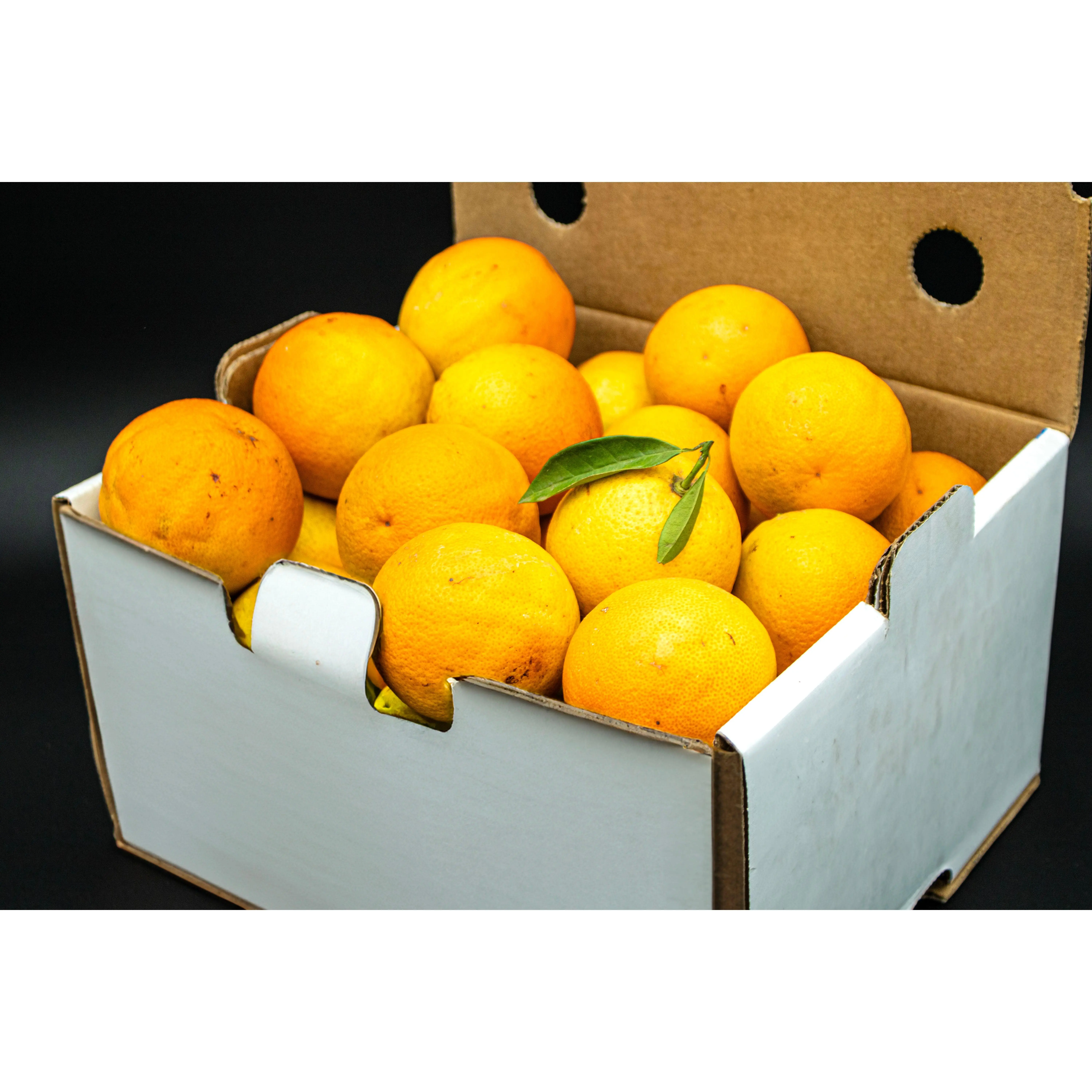 Large Box of California Valencia or Naval Oranges (15-30 oranges)