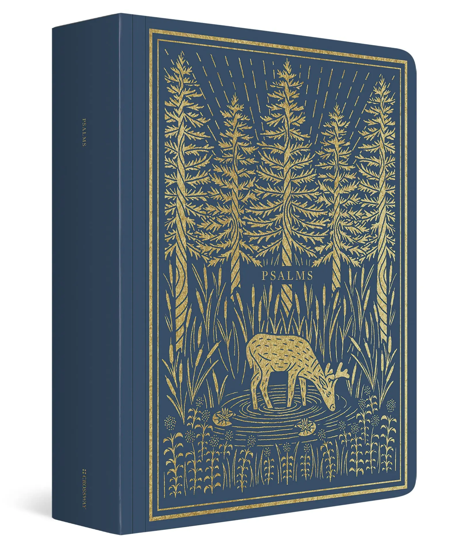 ESV Illuminated Scripture Journal: Psalms -- Dana Tanamachi - Bible