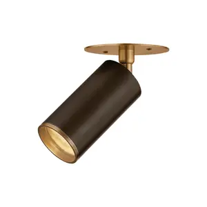 Caleb Ceiling Light - Elegant Patina Brass & Bronze Fixture, Versatile Sconce or Flush Mount Design