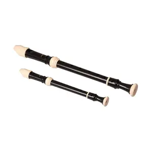 Rhythm Band Instruments C539 Aulos Soprano Alto 500 Symphony Series Set, Musical Instrument